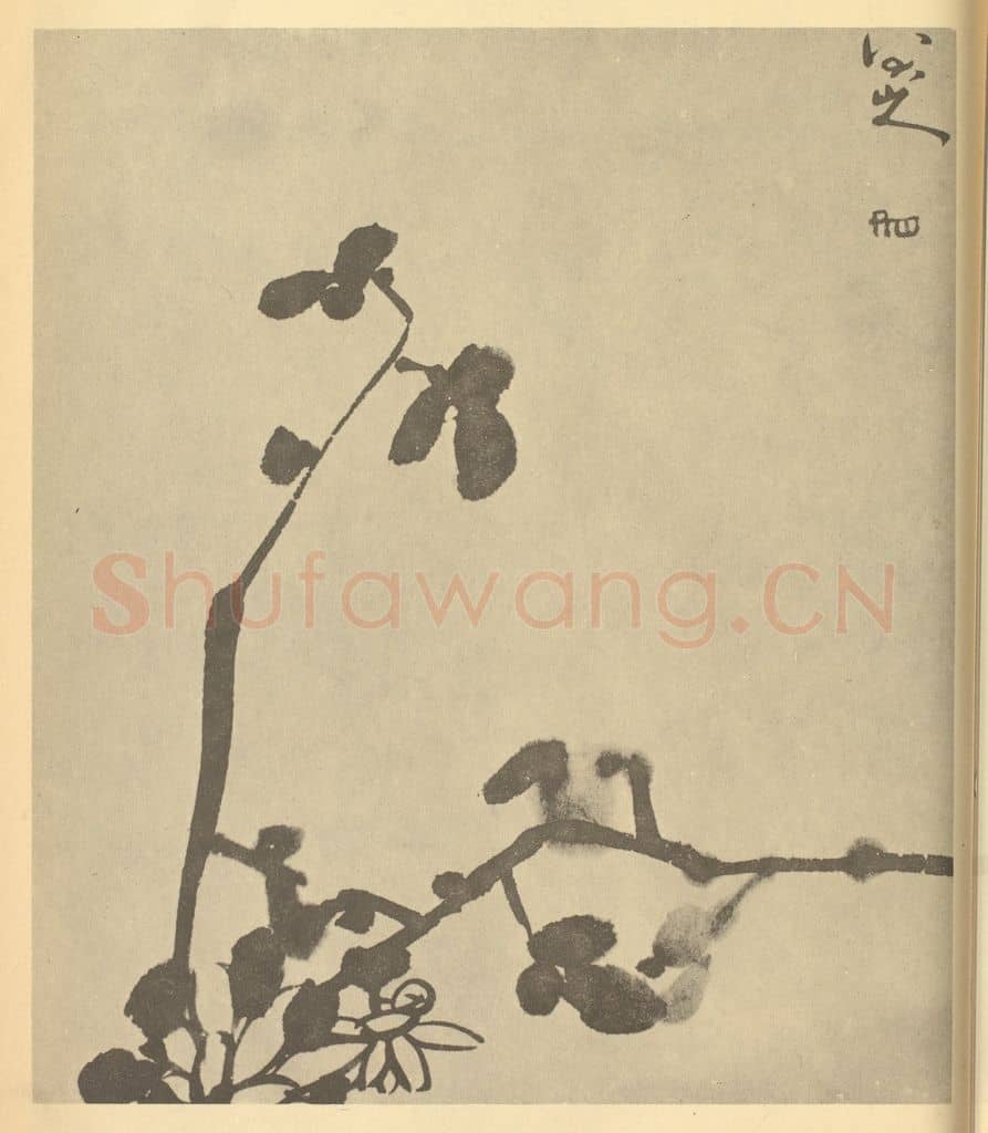 清 朱耷《菊》国画作品