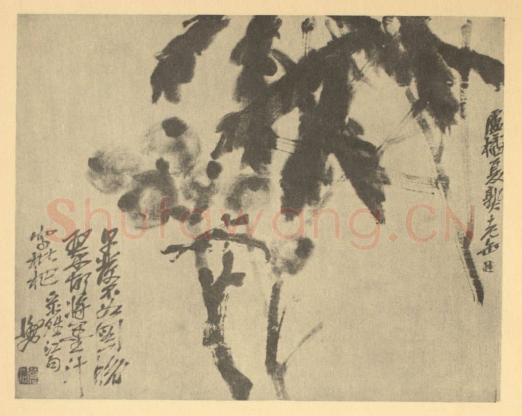 清 吴昌硕《枇杷》国画作品