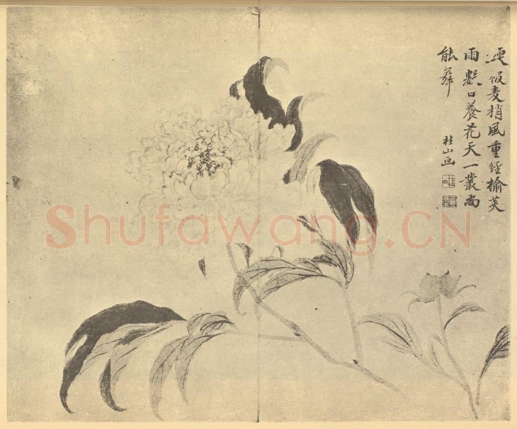清 邹一桂《芍药》国画作品