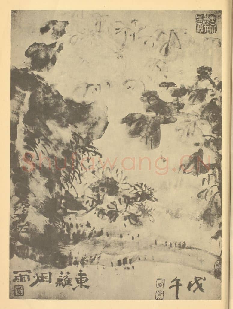 清 高凤翰《菊石》国画作品