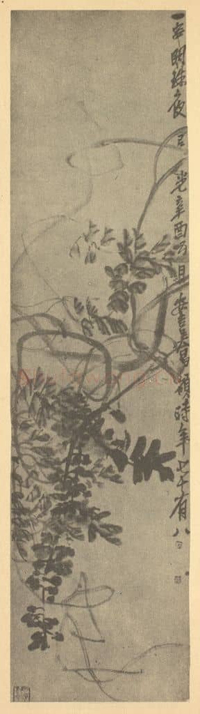 清 吴昌硕《藤花》国画作品