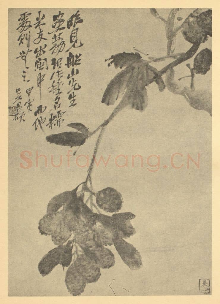 清 吴昌硕《枇杷》国画作品