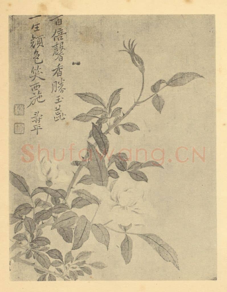 清 恽寿平《芍药》国画作品