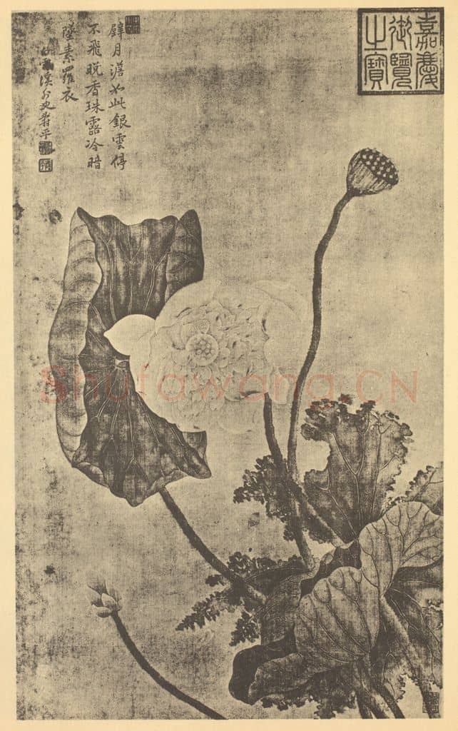 清 恽寿平《荷花图》国画作品