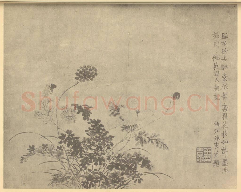清 金农《罂粟》国画作品