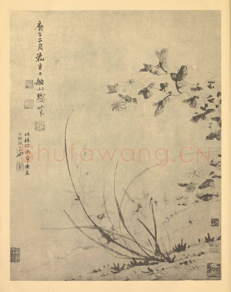 清 张问陶《兰菊》国画作品