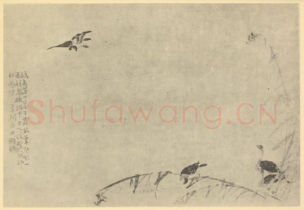 清 边寿民《芦雁图(六)》国画作品