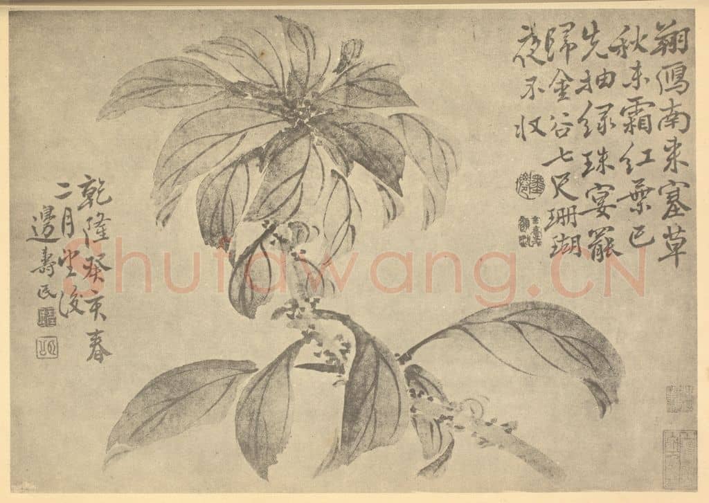 清 边寿民《桂花》国画作品