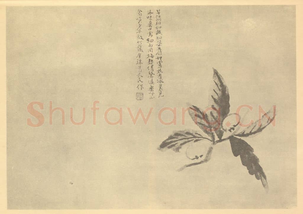 清 陈撰《枇杷》国画作品
