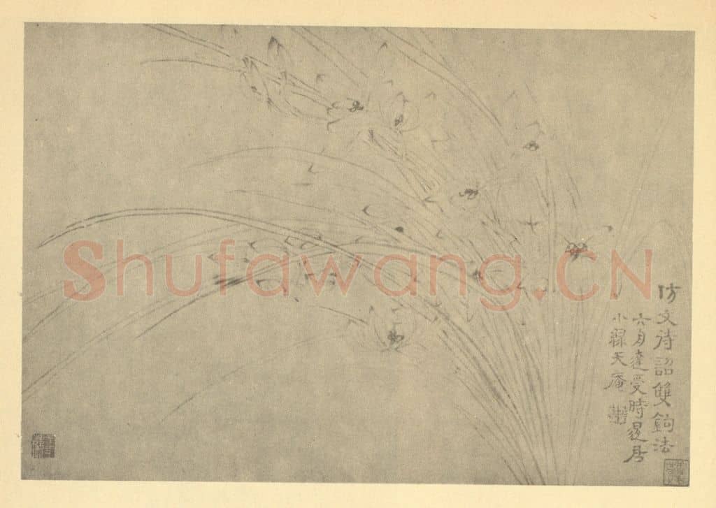 清 释达受《兰》国画作品