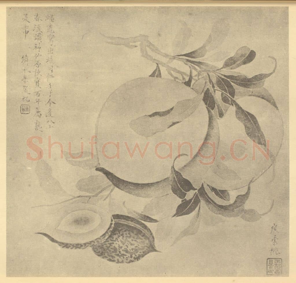 清 王概《桃实》国画作品