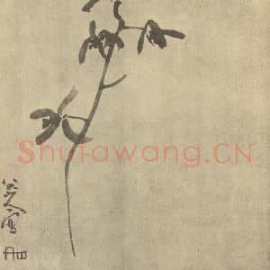 清代 朱耷国画作品《兰》摘自 南画大成 卷一