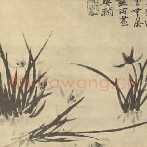 清代 释道济国画作品《兰》摘自 南画大成 卷一