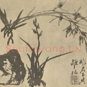 清代 释道济国画作品《兰石》摘自 南画大成 卷一