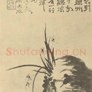 清代 释道济国画作品《兰石》摘自 南画大成 卷一