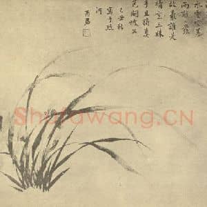 清代 蒋廷锡国画作品《兰》摘自 南画大成 卷一