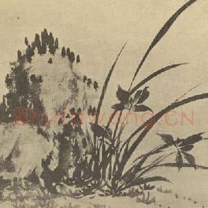 清代 蒋廷锡国画作品《兰石》摘自 南画大成 卷一