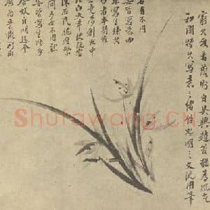 清代 李治运国画作品《兰》摘自 南画大成 卷一