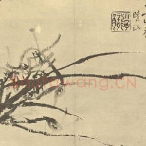 清代 李方膺国画作品《兰》摘自 南画大成 卷一