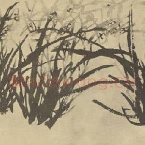 清代 李方膺国画作品《兰》摘自 南画大成 卷一