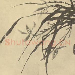 清代 李方膺国画作品《兰》摘自 南画大成 卷一