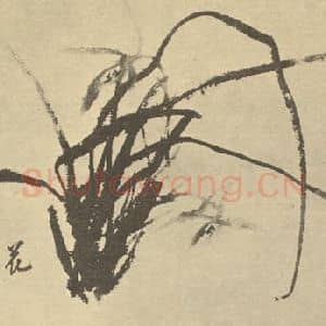 清代 李方膺国画作品《兰》摘自 南画大成 卷一