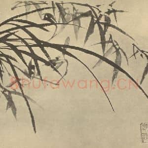 清代 郑燮国画作品《兰竹》摘自 南画大成 卷一