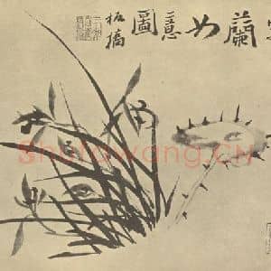 清代 郑燮国画作品《兰芝》摘自 南画大成 卷一