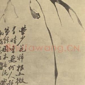 清代 郑燮国画作品《兰》摘自 南画大成 卷一