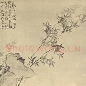 清代 汪士慎国画作品《竹石》摘自 南画大成 卷一