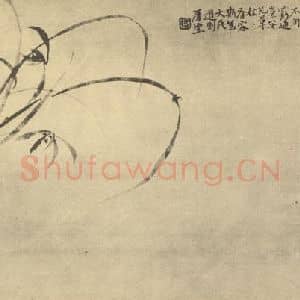 清代 陈撰国画作品《兰》摘自 南画大成 卷一