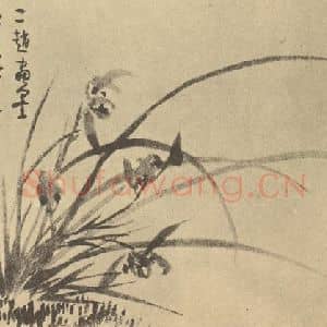 清代 罗聘国画作品《兰》摘自 南画大成 卷一