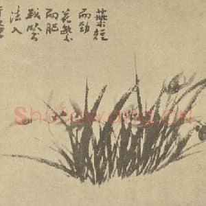 清代 罗聘国画作品《兰》摘自 南画大成 卷一