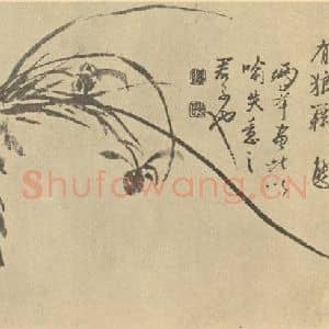 清代 罗聘国画作品《兰》摘自 南画大成 卷一