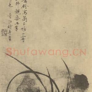 清代 董洵国画作品《兰石》摘自 南画大成 卷一