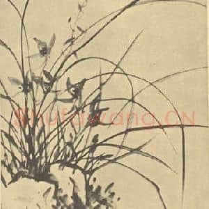清代 张赐宁国画作品《兰石》摘自 南画大成 卷一