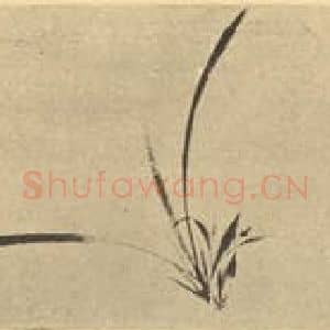 元代 郑思肖国画作品《兰》摘自 南画大成 卷一