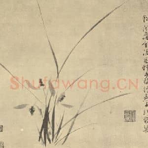 明代 徐渭国画作品《兰》摘自 南画大成 卷一