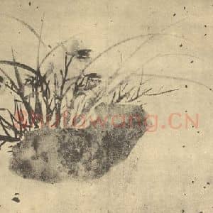 明代 徐渭国画作品《兰石》摘自 南画大成 卷一
