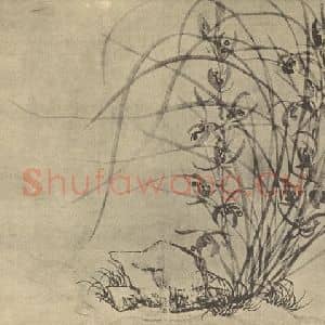 明代 周天球国画作品《兰石》摘自 南画大成 卷一