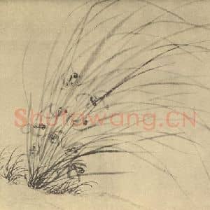 明代 周天球国画作品《兰》摘自 南画大成 卷一