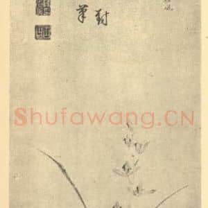 明代 马守真国画作品《兰石》摘自 南画大成 卷一