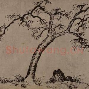元代 赵孟頫国画作品《枯树图页》摘自 南画大成 卷十四