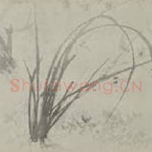清代 道济国画作品《兰竹图卷(二)》摘自 南画大成 卷十五