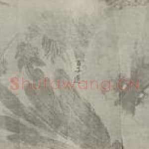 清代 赵之谦国画作品《瓯中物产卷(二)》摘自 南画大成 卷十五