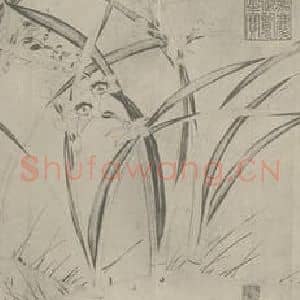 宋代 赵孟坚国画作品《水仙图卷(一)》摘自 南画大成 卷十六