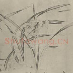 宋代 赵孟坚国画作品《水仙图卷(二)》摘自 南画大成 卷十六