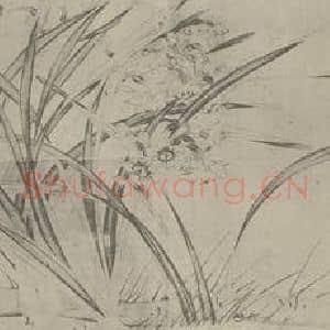 宋代 赵孟坚国画作品《水仙图卷(三)》摘自 南画大成 卷十六