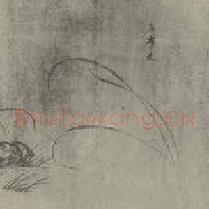 宋代 赵孟坚国画作品《兰谱卷(一)》摘自 南画大成 卷十六