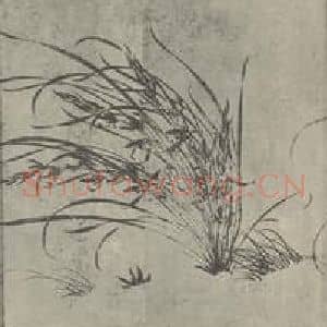 宋代 赵孟坚国画作品《兰谱卷(二)》摘自 南画大成 卷十六